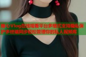 糖心Vlog在线观看平台多格式支持隐私保护多终端同步轻松管理你的私人视频库