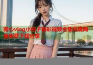 糖心vlog小包子精彩视频合集百度网盘免费下载分享