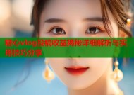 糖心vlog投稿收益揭秘详细解析与实用技巧分享
