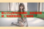 糖心Vlog账号封禁揭秘：独家福利视频，写真即刻体验，火速围观