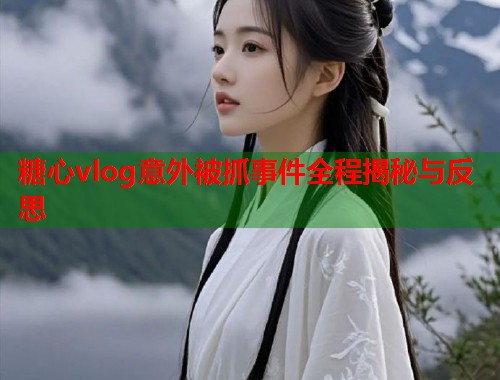 糖心vlog意外被抓事件全程揭秘与反思  第1张